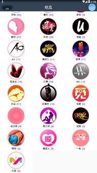 娱乐吃瓜直播号是什么软件,揭秘热门直播软件背后的秘密